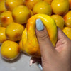 Potato Stress Ball Fidget Toy