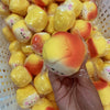 Cheese Puppy Squeeze Toy